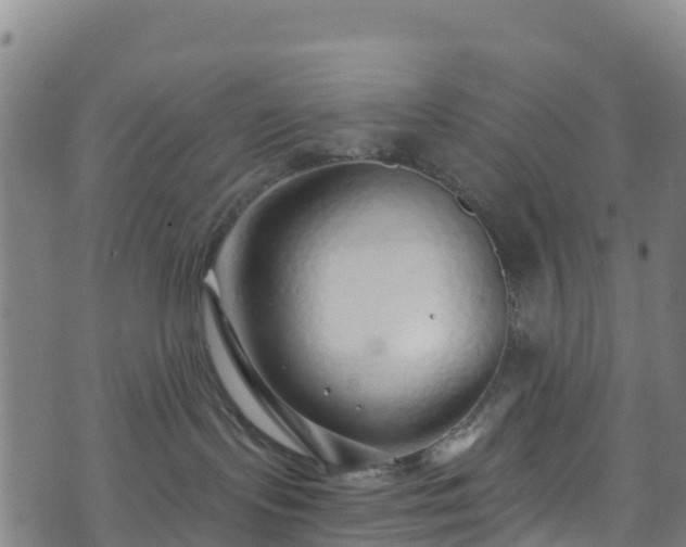 X0000070880095200606231353