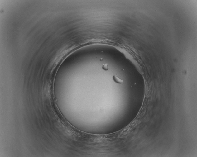 X0000070880098200606231353