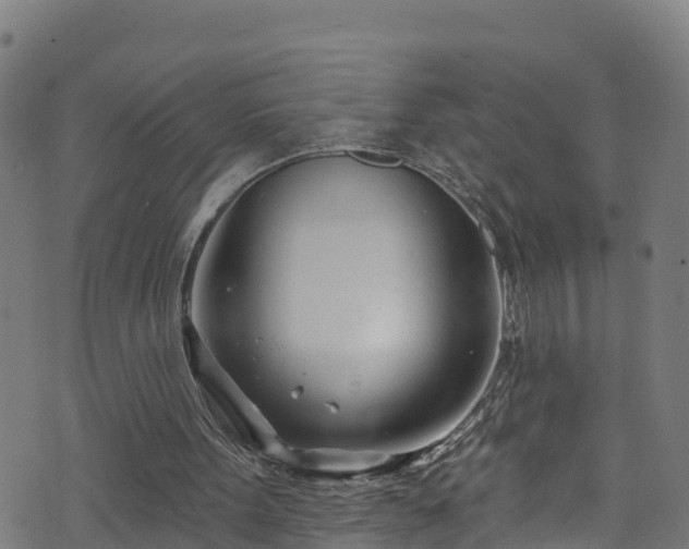 X0000070880099200606231353