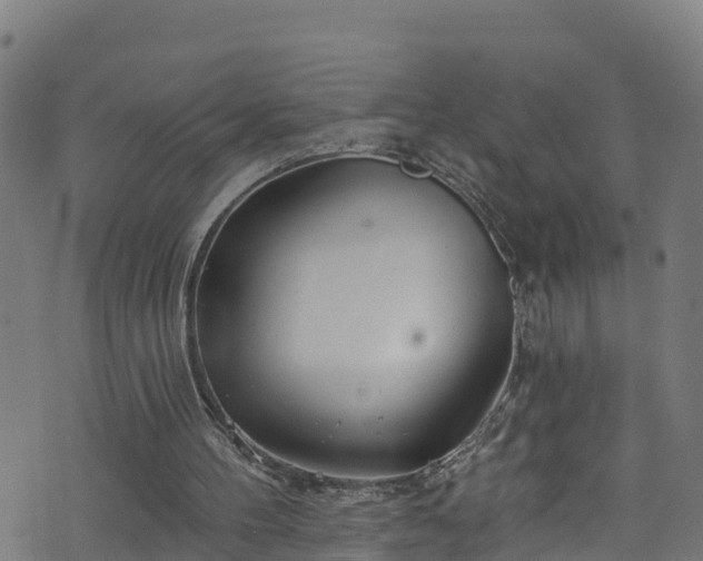 X0000070880100200606231353