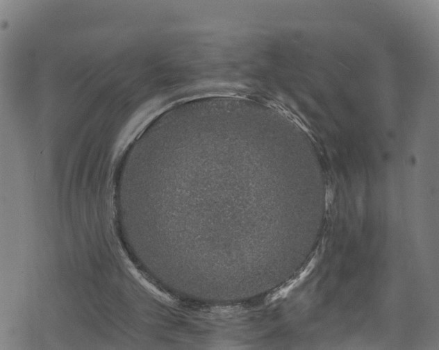 X0000070880101200606231353