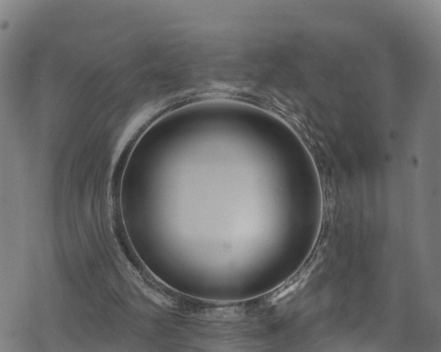 X0000070880102200606231353