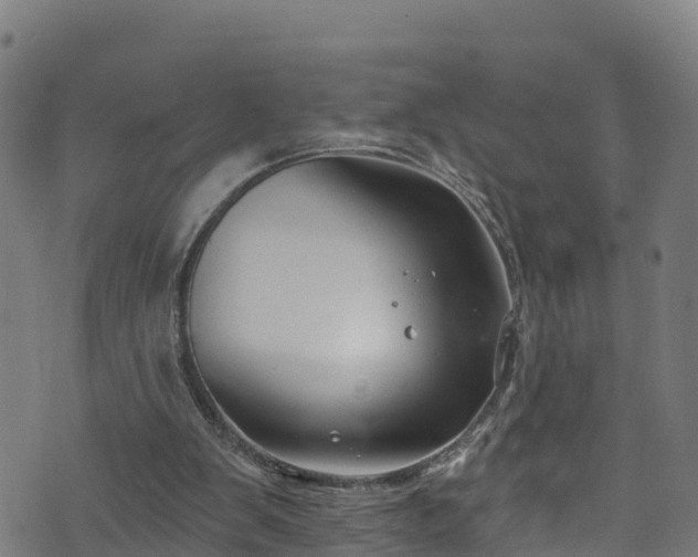 X0000070880103200606231353