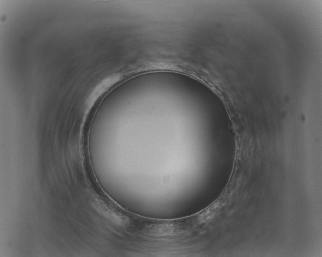 X0000070880104200606231353