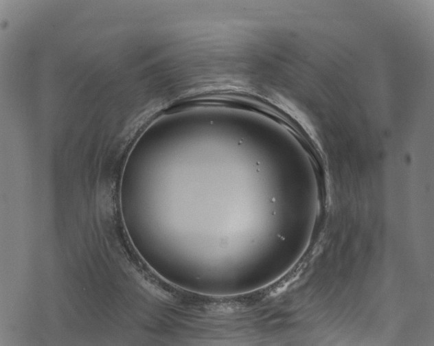 X0000070880105200606231353