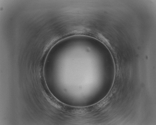 X0000070880106200606231353