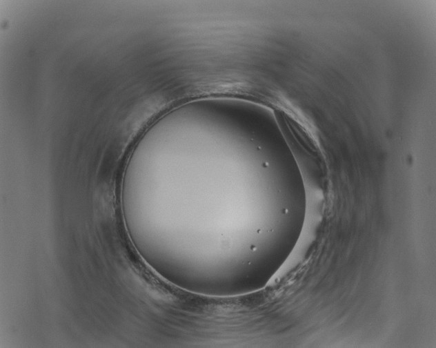 X0000070880107200606231353