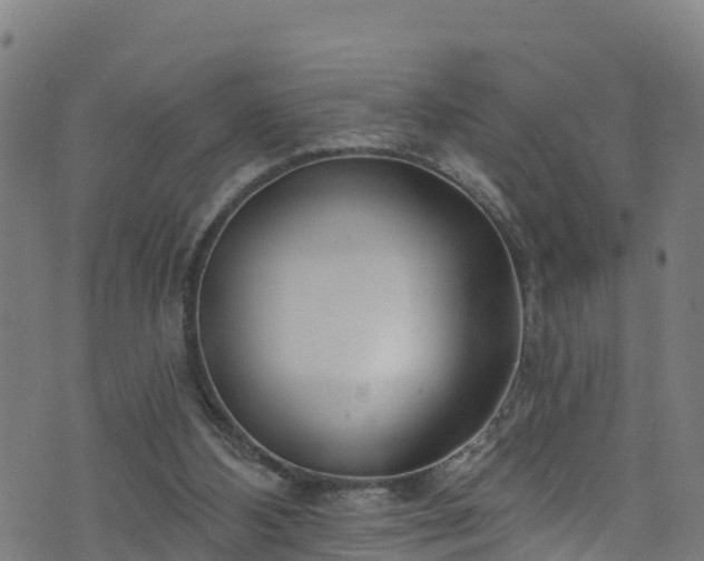 X0000070880108200606231353