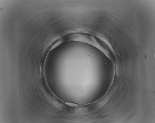 X0000070880109200606231352