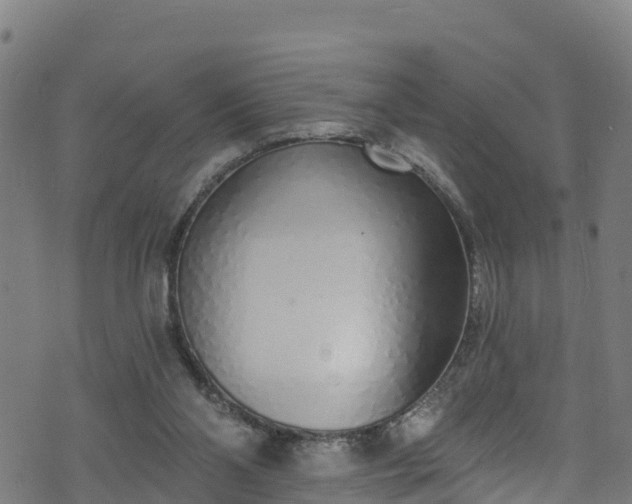 X0000070880110200606231352