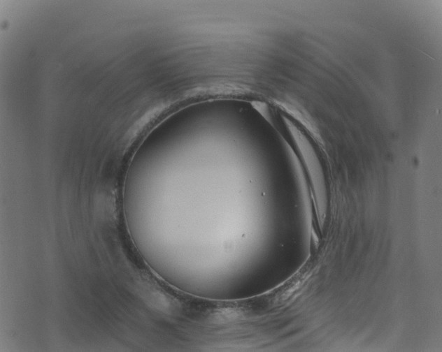 X0000070880111200606231352