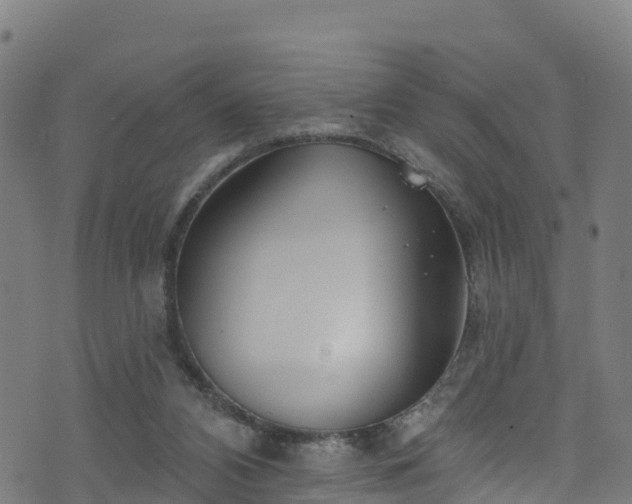 X0000070880112200606231352