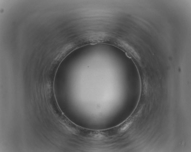 X0000070880113200606231352