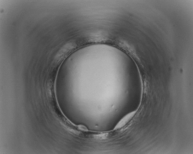 X0000070880114200606231352