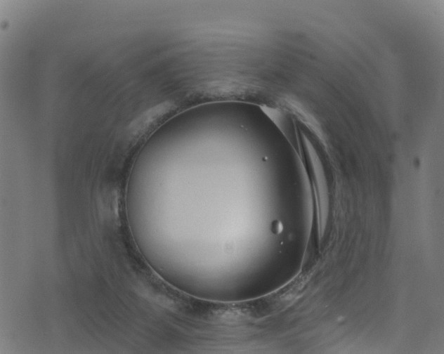 X0000070880115200606231352