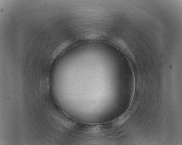 X0000070880116200606231352