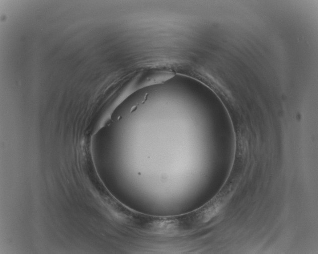 X0000070880117200606231352