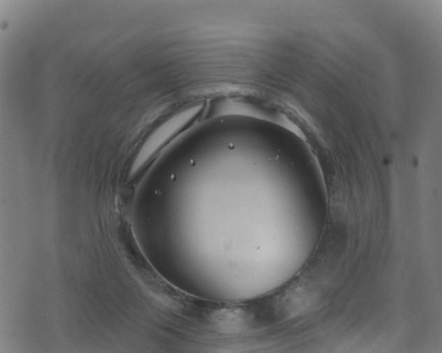 X0000070880119200606231352