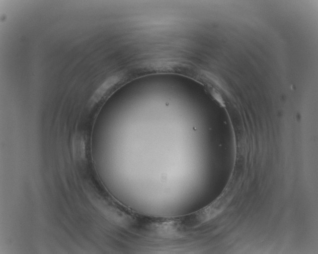 X0000070880120200606231352