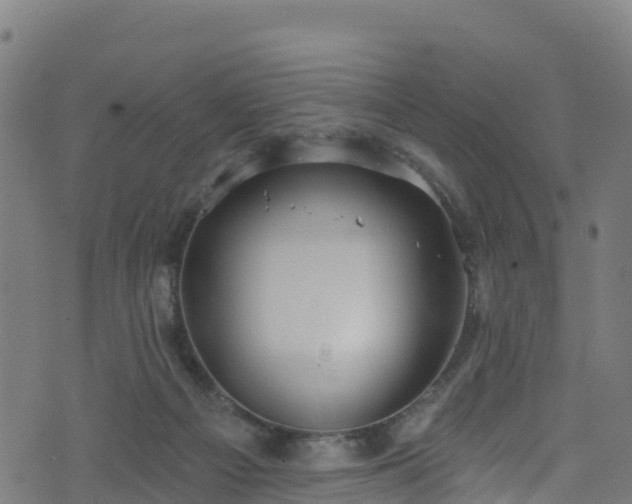 X0000070880121200606231352