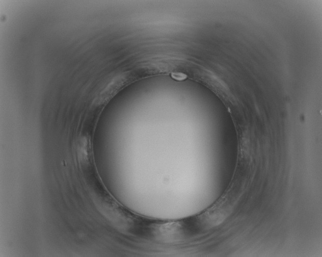 X0000070880122200606231352