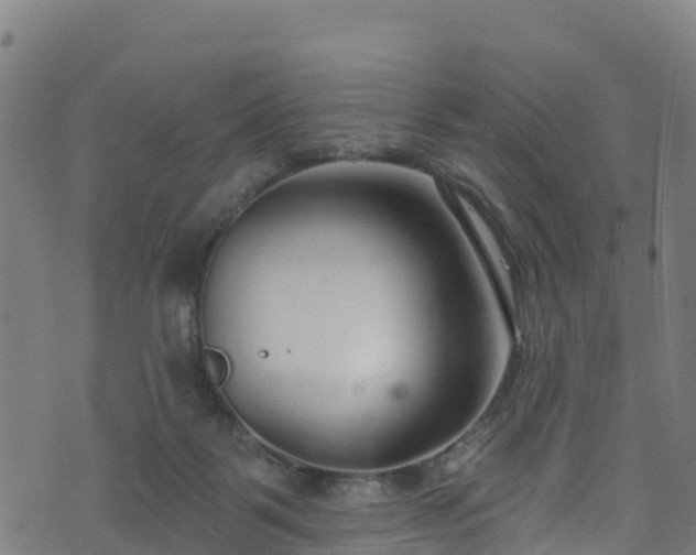 X0000070880123200606231352