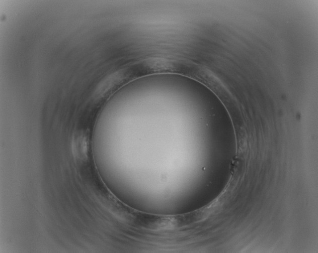 X0000070880124200606231352