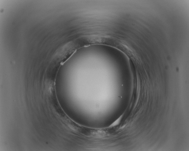 X0000070880125200606231352