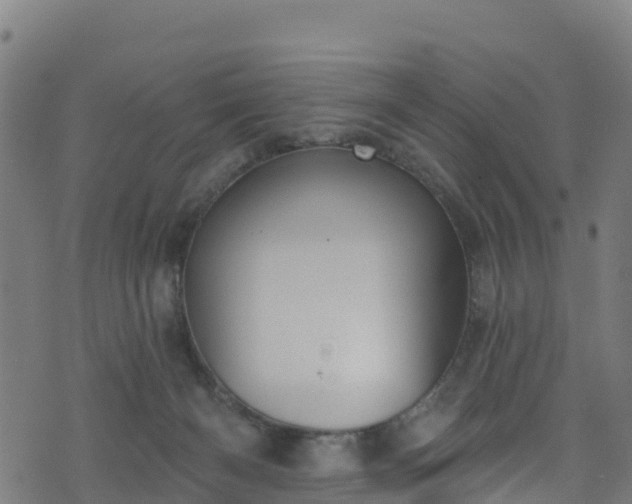 X0000070880126200606231352