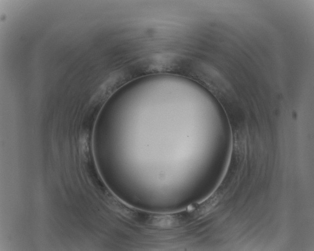 X0000070880127200606231352