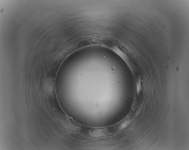 X0000070880129200606231352