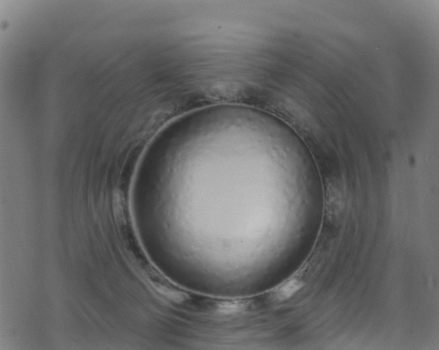 X0000070880130200606231352