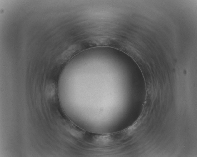 X0000070880132200606231352