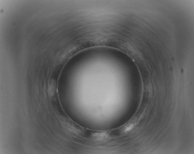 X0000070880133200606231352