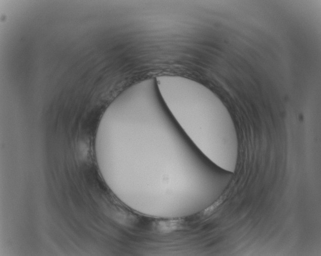 X0000070880134200606231352