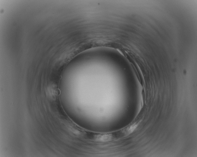 X0000070880135200606231352