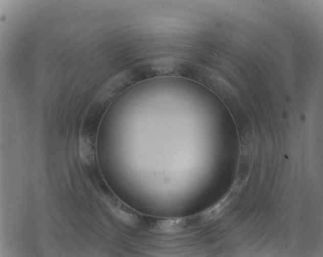 X0000070880136200606231352