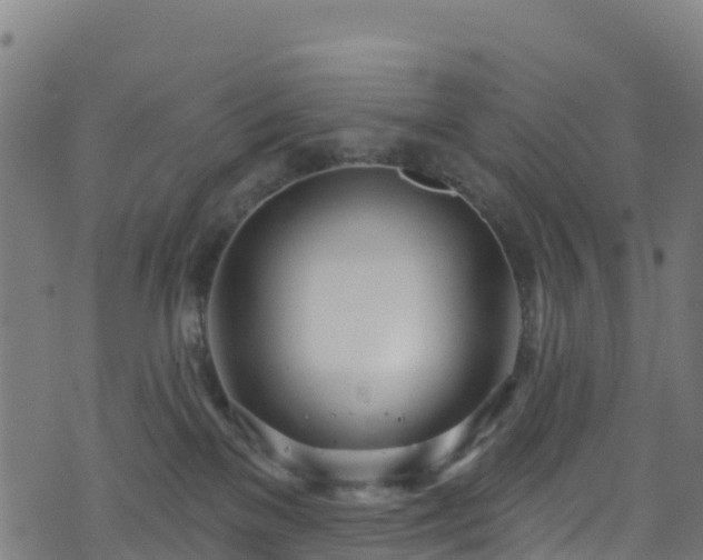 X0000070880137200606231352