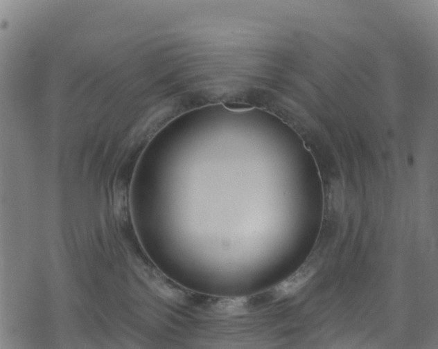 X0000070880138200606231352