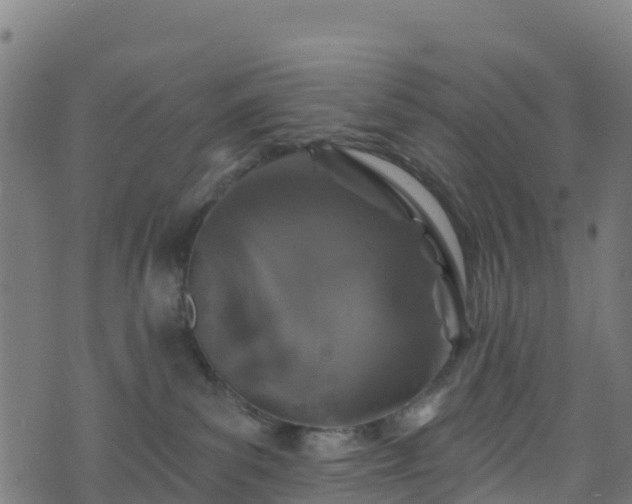 X0000070880139200606231352