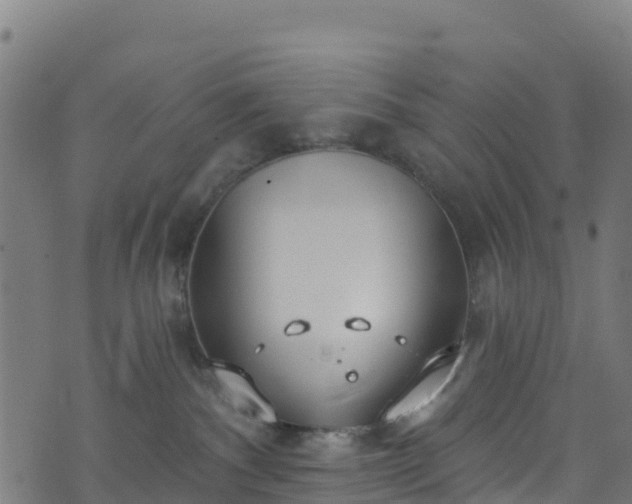 X0000070880140200606231352