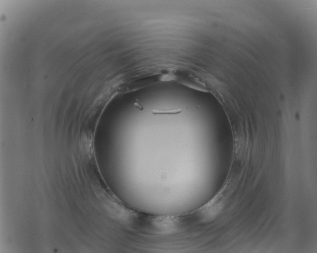 X0000070880142200606231352