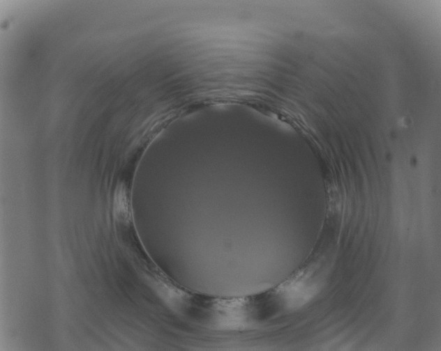 X0000070880143200606231352