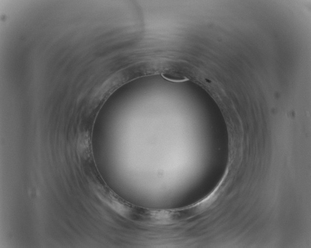 X0000070880144200606231352