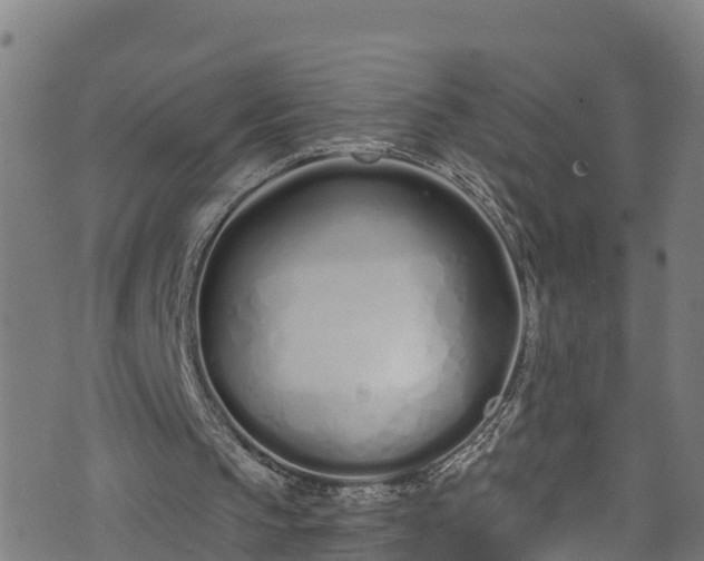 X0000070880145200606231351