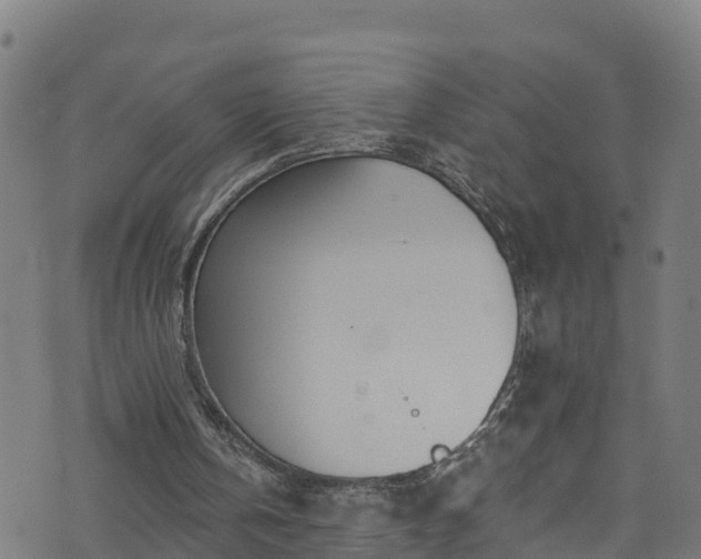 X0000070880146200606231351