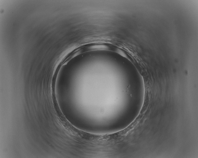 X0000070880148200606231351