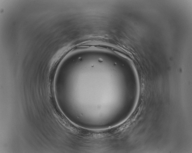 X0000070880149200606231351