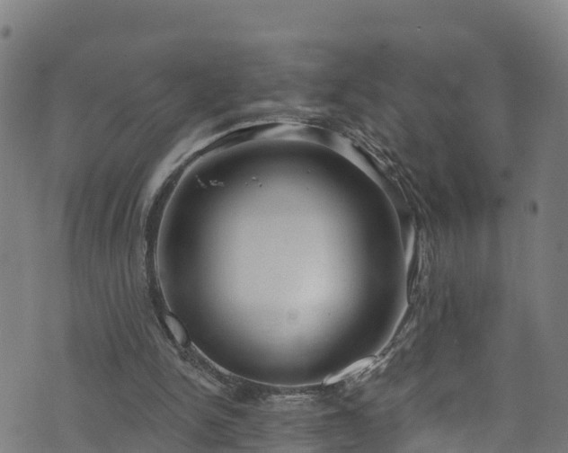 X0000070880150200606231351