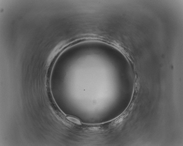 X0000070880151200606231351